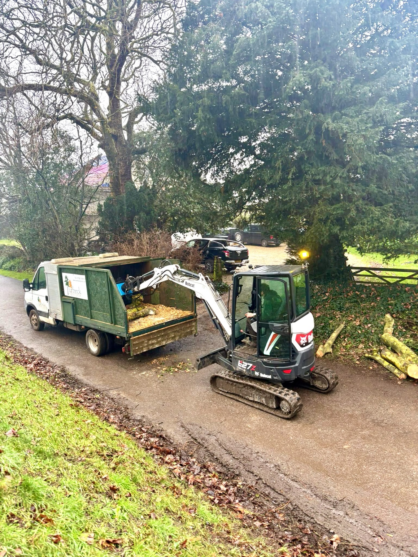 Stumps and site clearance by Purbeck Arborists